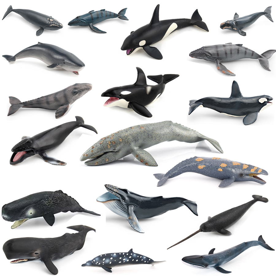 Kids Educational Gadget - Model Hewan Laut Realistis: Paus Humpback,