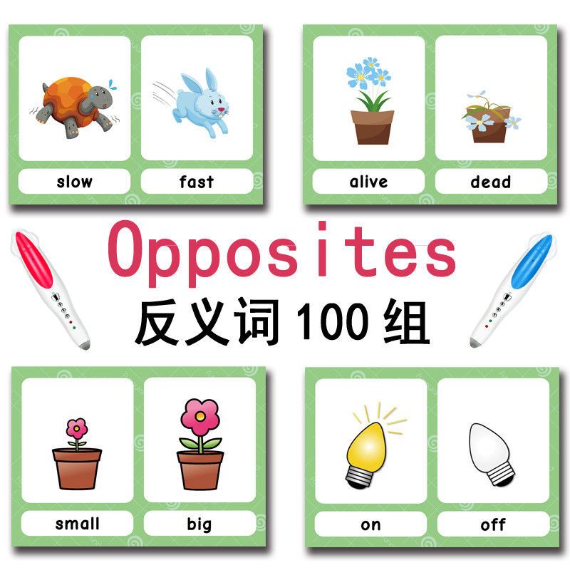 100 Kartu Flashcard Kata Bahas - Kids Home Education ulasan dan harga