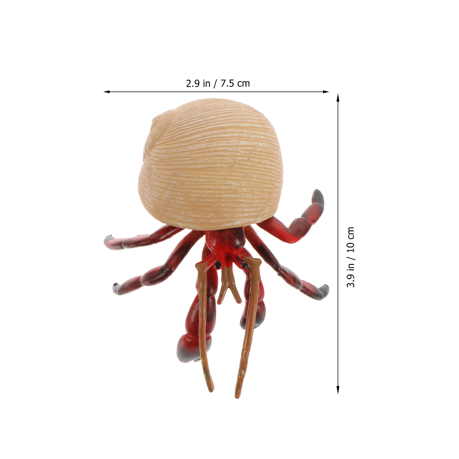 Hiasan Simulasi Kepiting Hermi - Kids Home Education ulasan dan harga